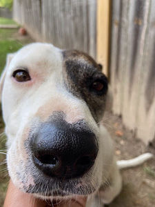 Meet your Posher, Rylo_Tims1